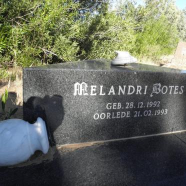 BOTES Melandri 1992-1993