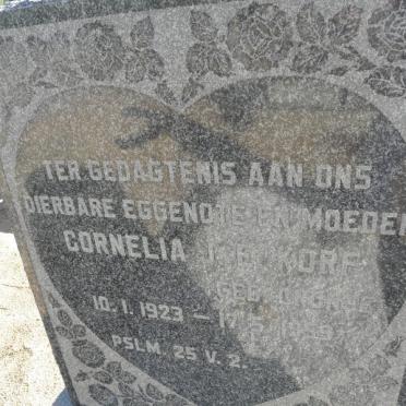 KORF Cornelia J.F. 1923-1959