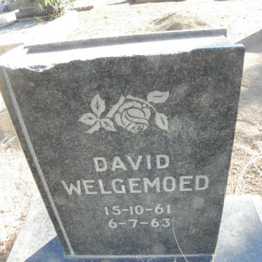 WELGEMOED David 1961-1963