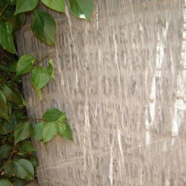 G - Surnames :: Vanne - G