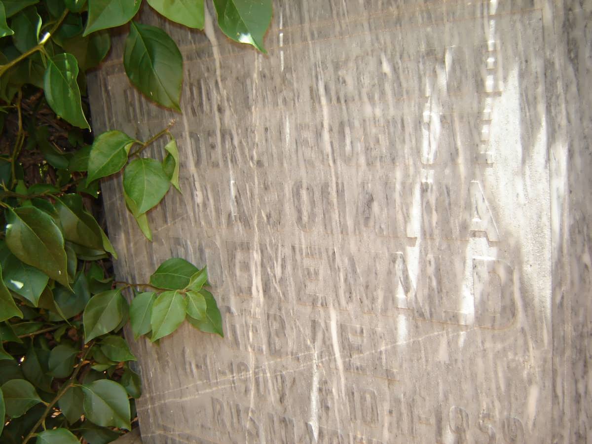 GROENEWALD Maria Johanna nee NEL 1909-19??