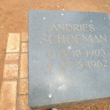 SCHOEMAN Andries 1903-1962