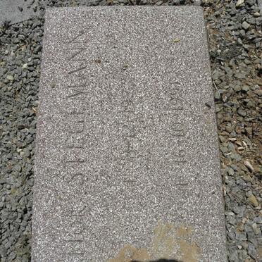 STEGEMANN Flor 1933-1997