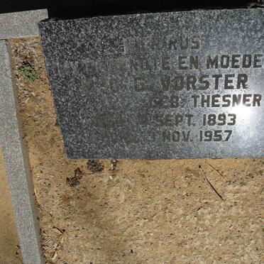 VORSTER M.C.G. nee THESNER 1893-1957 