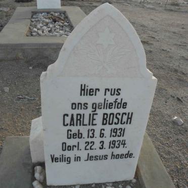 BOSCH Carlie 1931-1934