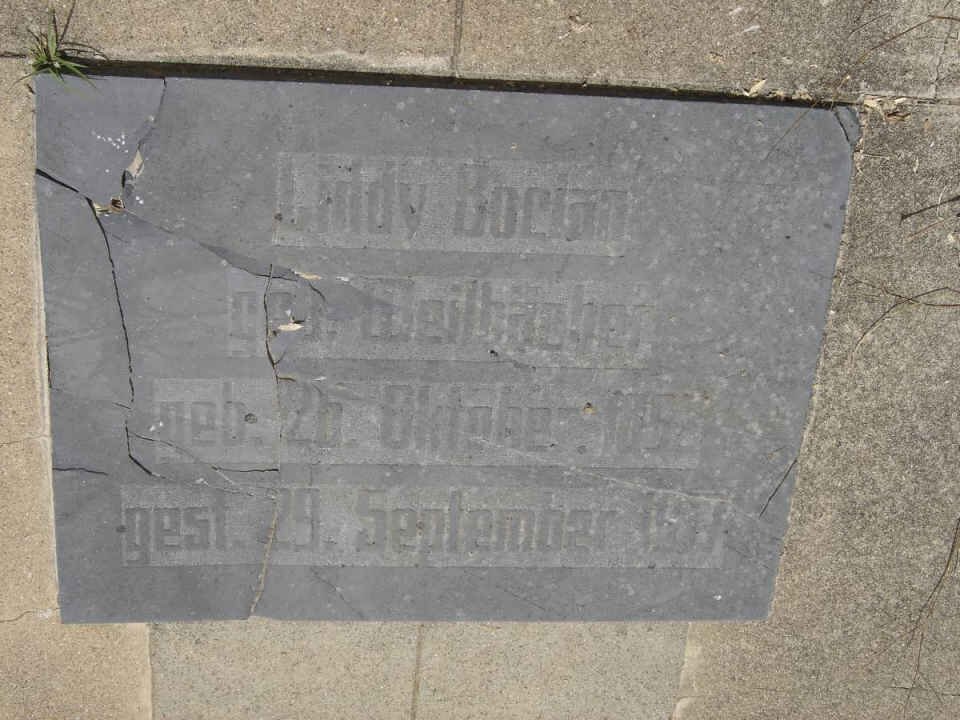 BOCIAN Liddy nee WEILBUCHER 1892-1917