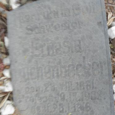 ? CHENBECKER Ernesia 1891-1908