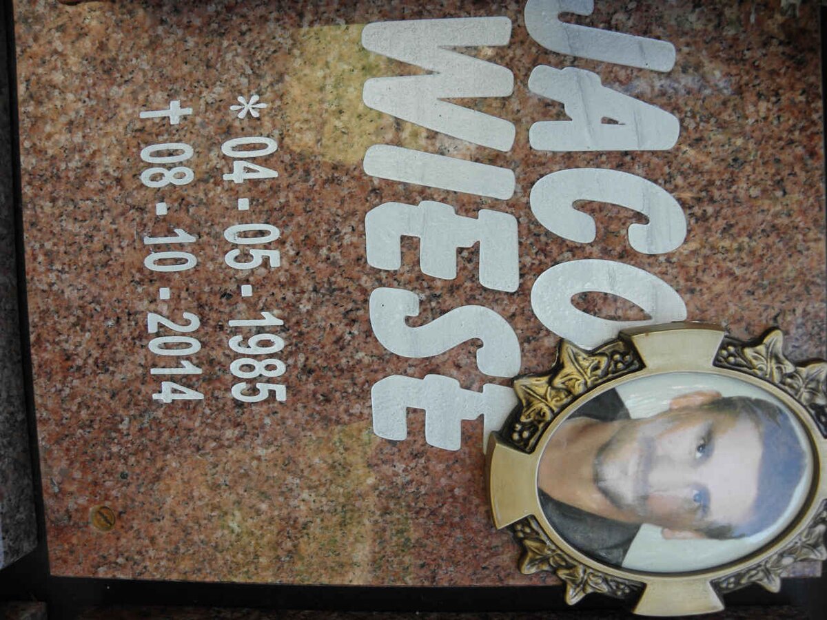 WIESE Jaco 1985-2014