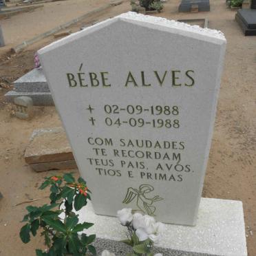 ALVES Bebe 1988-1988