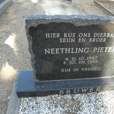 BRUWER Neethling Pieter 1987-1993