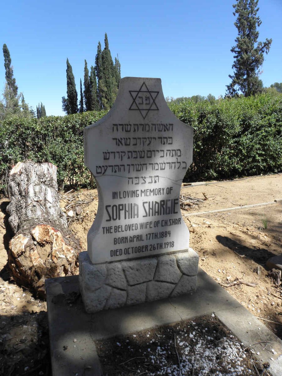 SHARGIE Sophia 1884-1918