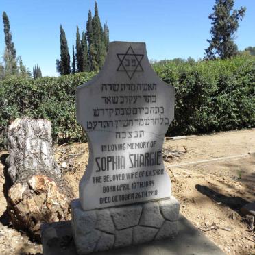 SHARGIE Sophia 1884-1918