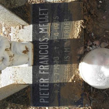 MELLET Pieter Francois 1973-1975