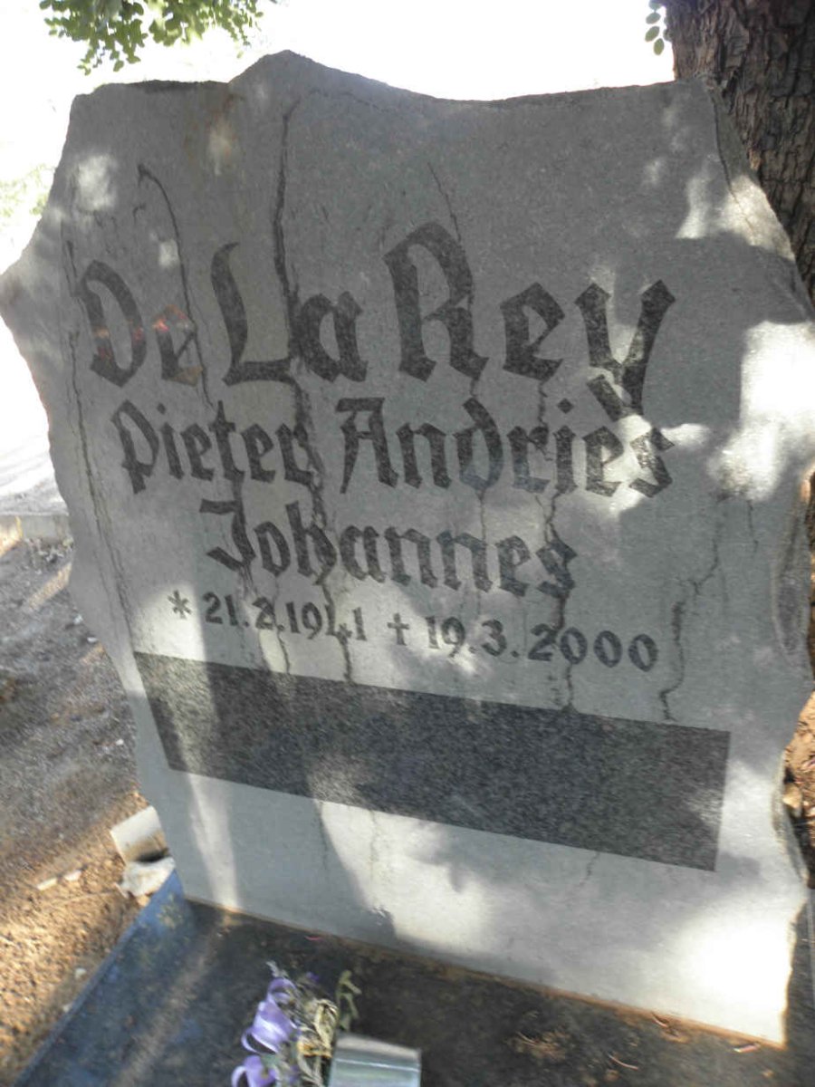 REY Pieter Andries Johannes, de la 1941-2000