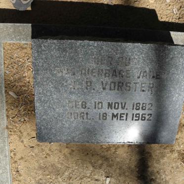 VORSTER ? P. 1882-1962