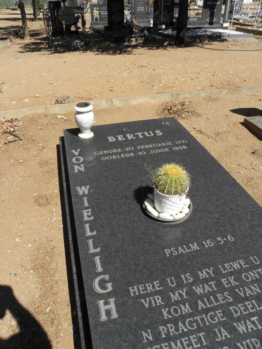 WIELLIGH Bertus, von 1971-1998