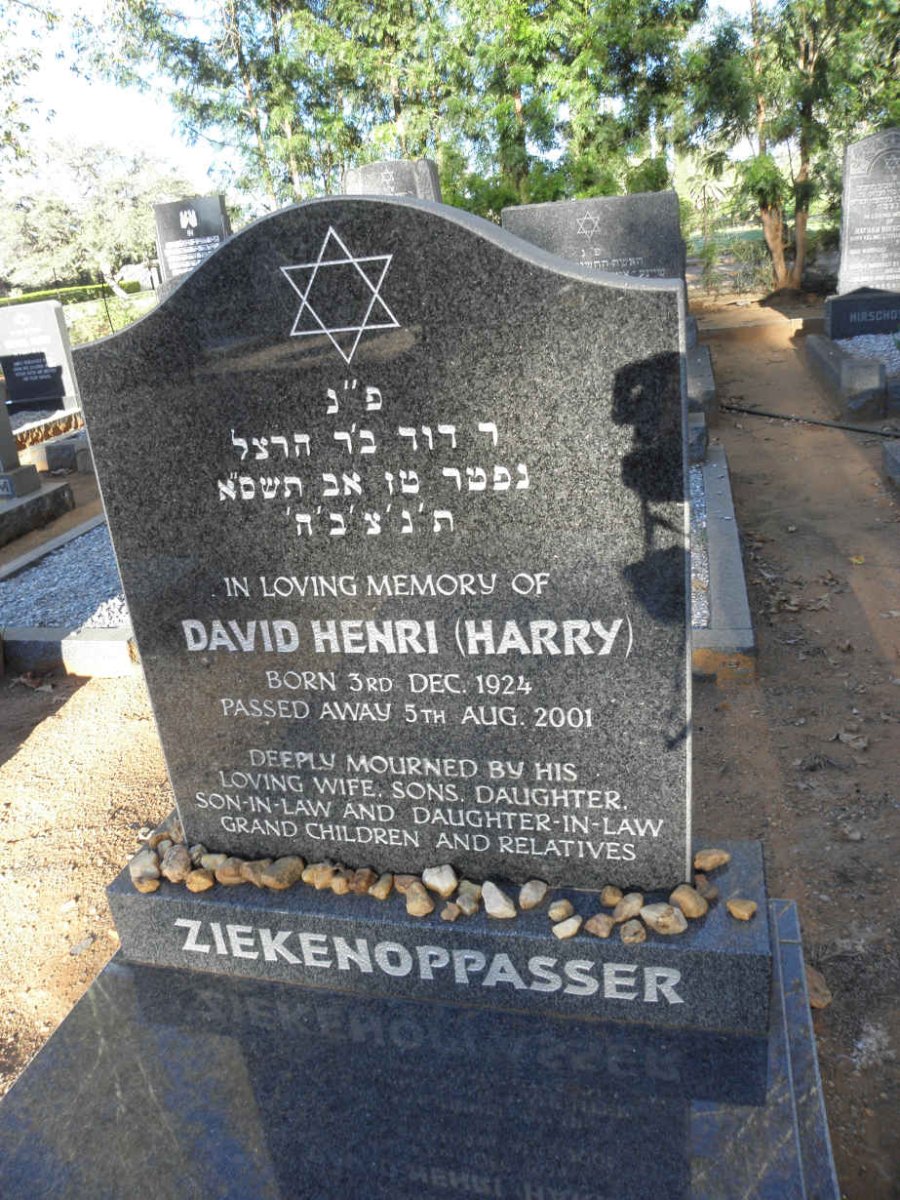 ZIEKENOPPASSER David Henri 1924-2001