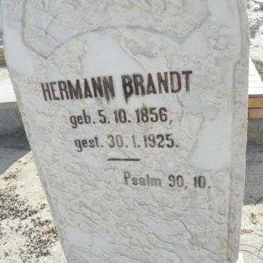 BRANDT Hermann 1856-1925