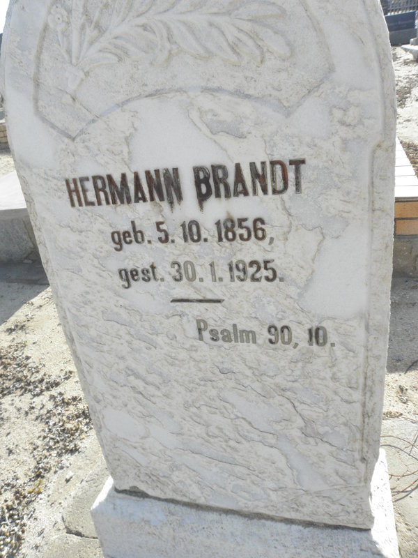BRANDT Hermann 1856-1925