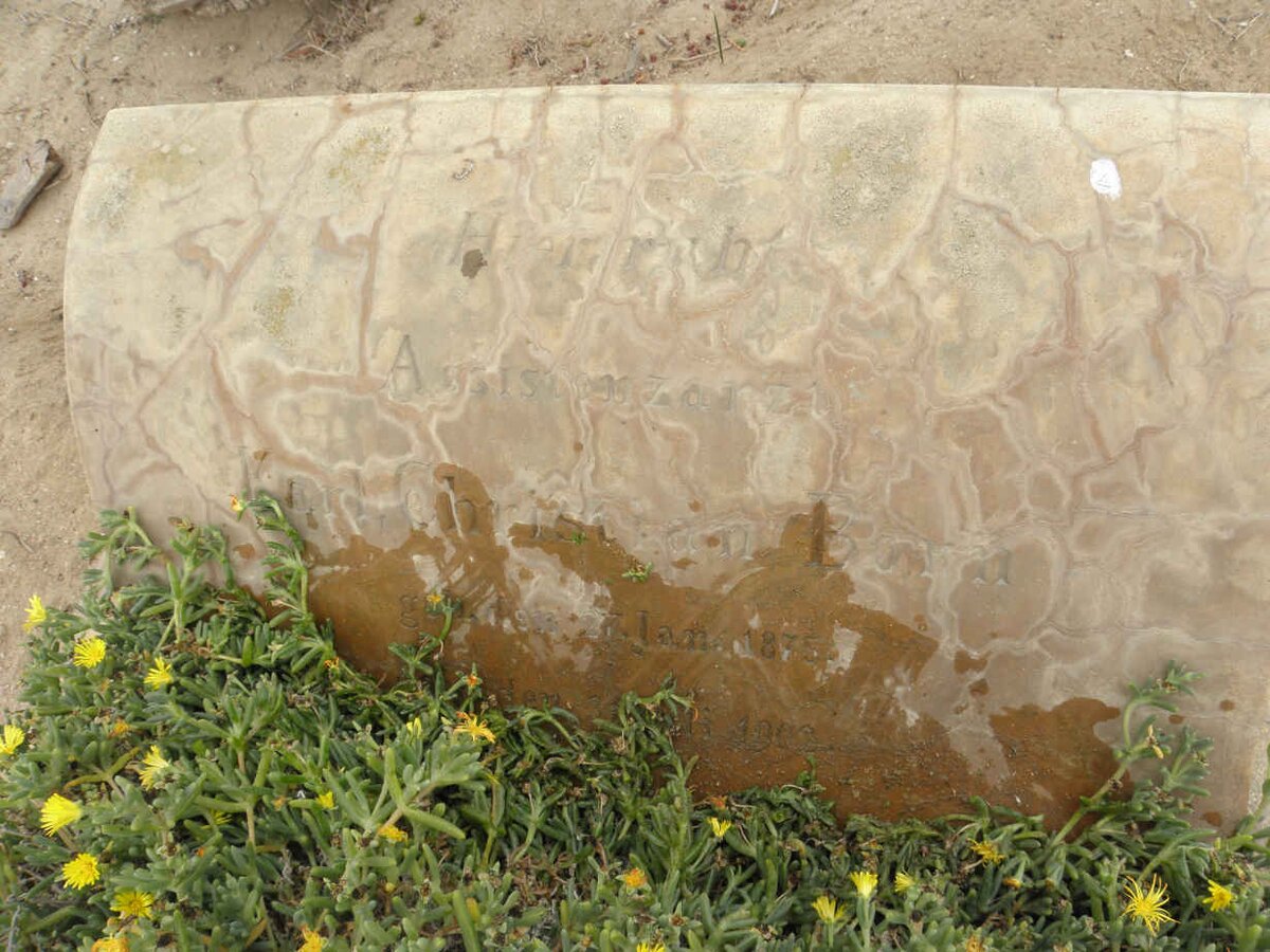 BORN Karl Christian 1875-1902