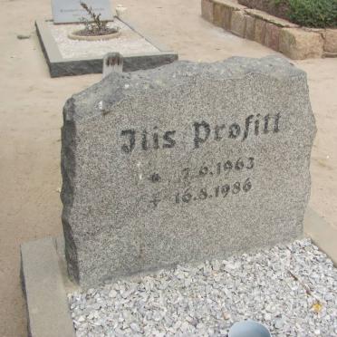 PROFITT Itis 1963-1986