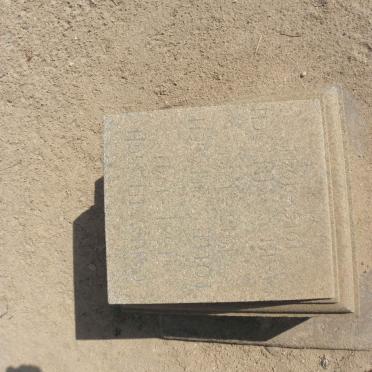 WILLASCH Carl 1881-1941 :: WILLASCH Lotte 1913-1941 :: WILLASCH Maren 1915-1941