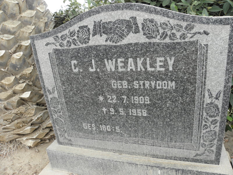 WEAKLEY C.J. nee STRYDOM 1909-1958