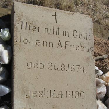 FRIEBUS Johann A. 1874-1930