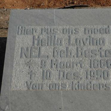 N - Vanne :: Surnames - N