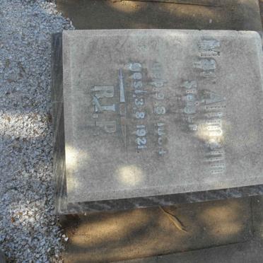 STEIGER Max Altmann 1884-1921