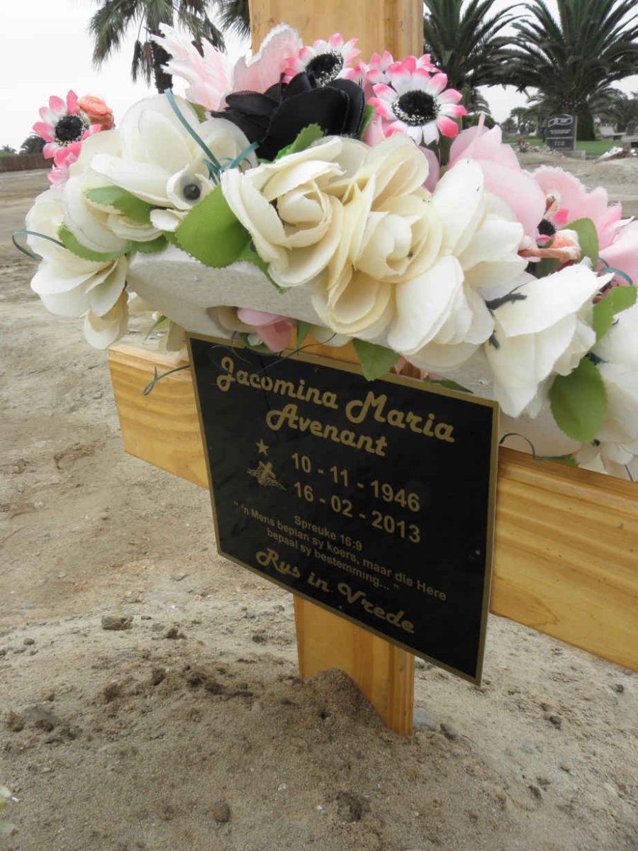 AVENANT Jacomina Maria 1946-2013