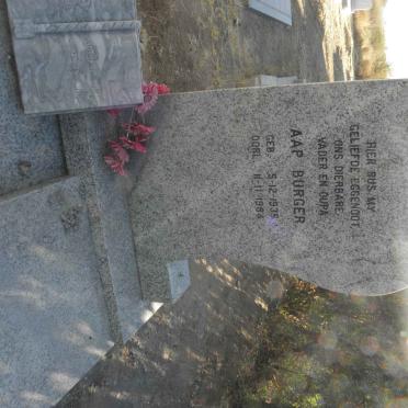 BURGER Aap 1935-1984