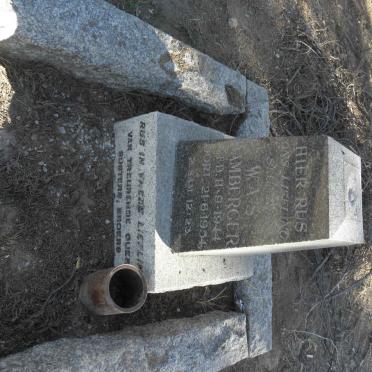 BAMBERGER W.A.S. 1944-1954