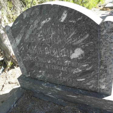 HERMANN Albin 1879-19?7