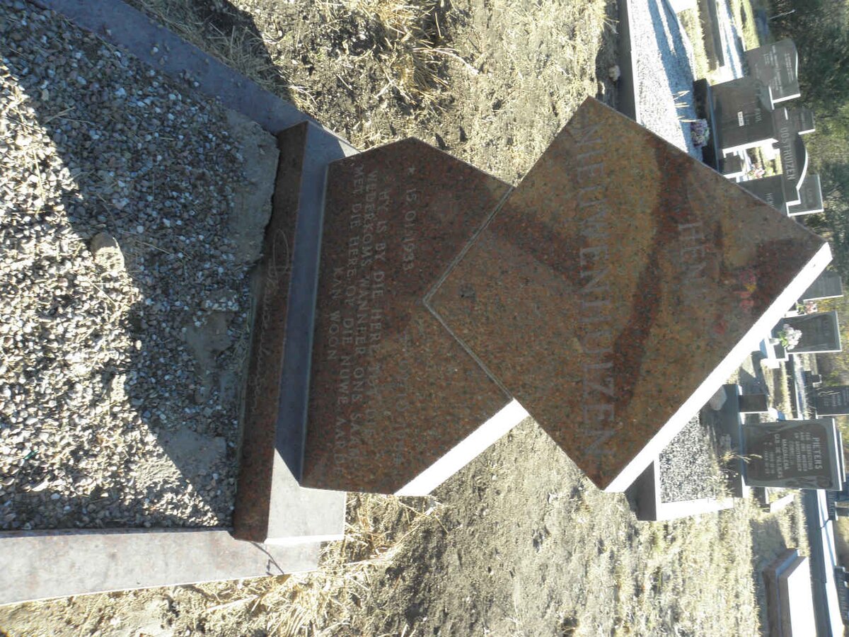 NIEUWENHUIZEN Henk 1933-1984