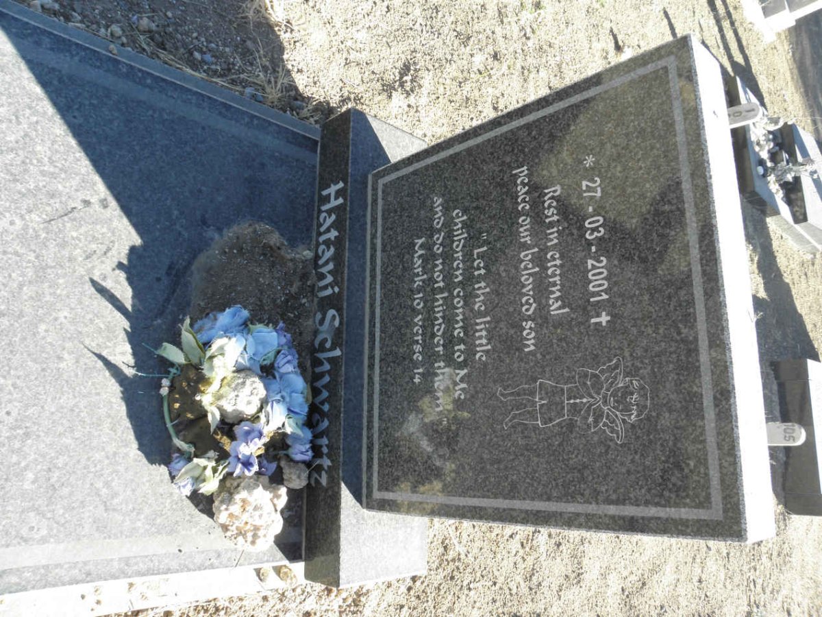 SCHWARTZ Hatani 2001-2001