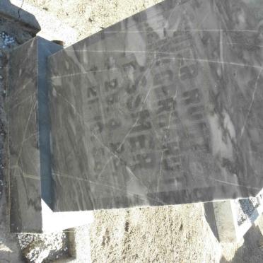 TESSMER Hein Gerhardt 1925-1956