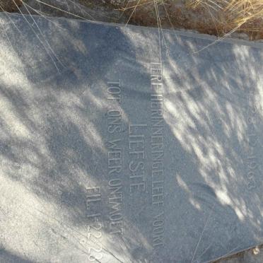 WET Willie, de 1895-1963