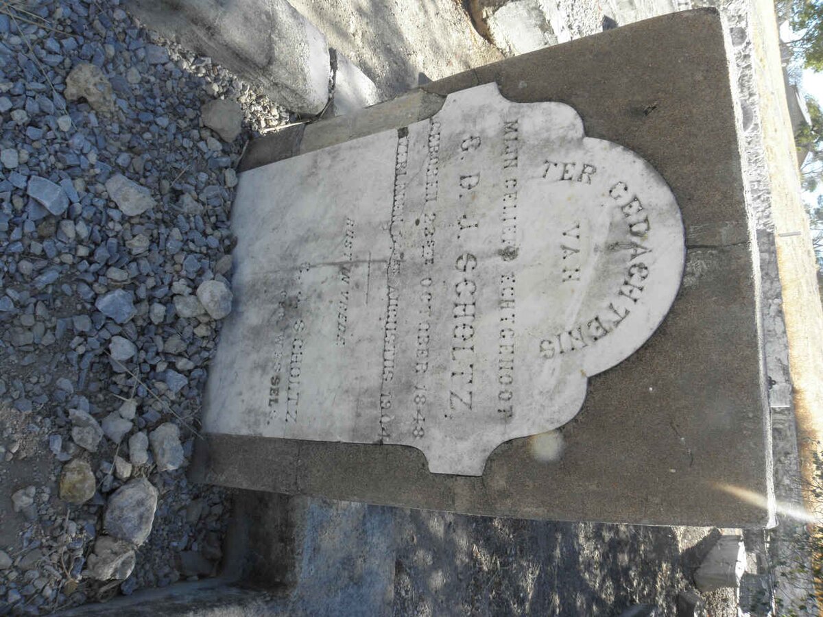 SCHOLTZ G.D.J. 1848-1904