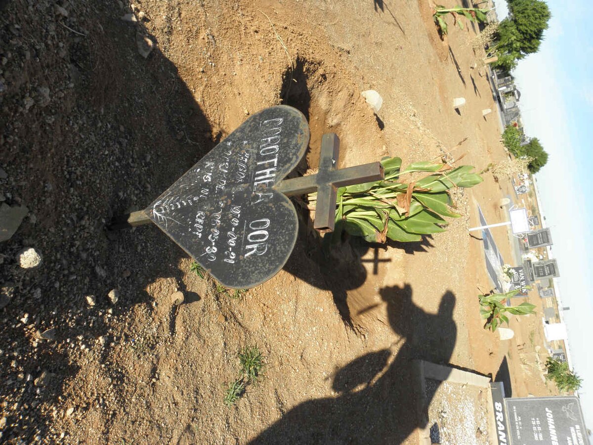 OOR Dorothea 1979-2008