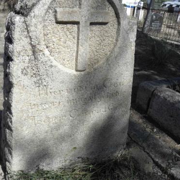 GELBER Gertrud 1903-1903