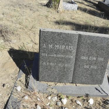 MARAIS A.M. nee VAN BLOMMESTEIN 1927-1951