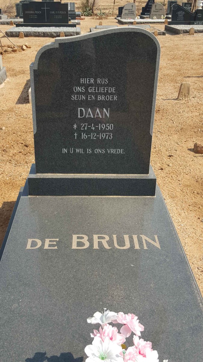 BRUIN Daan, de 1950-1973