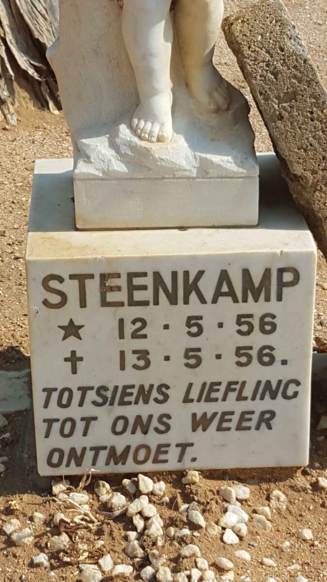 STEENKAMP 1956-1956