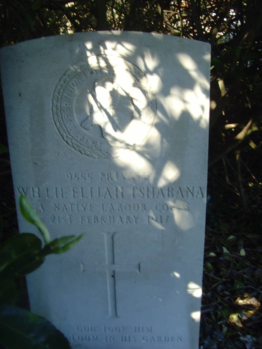 TSHABANA Willie Elijah -1917