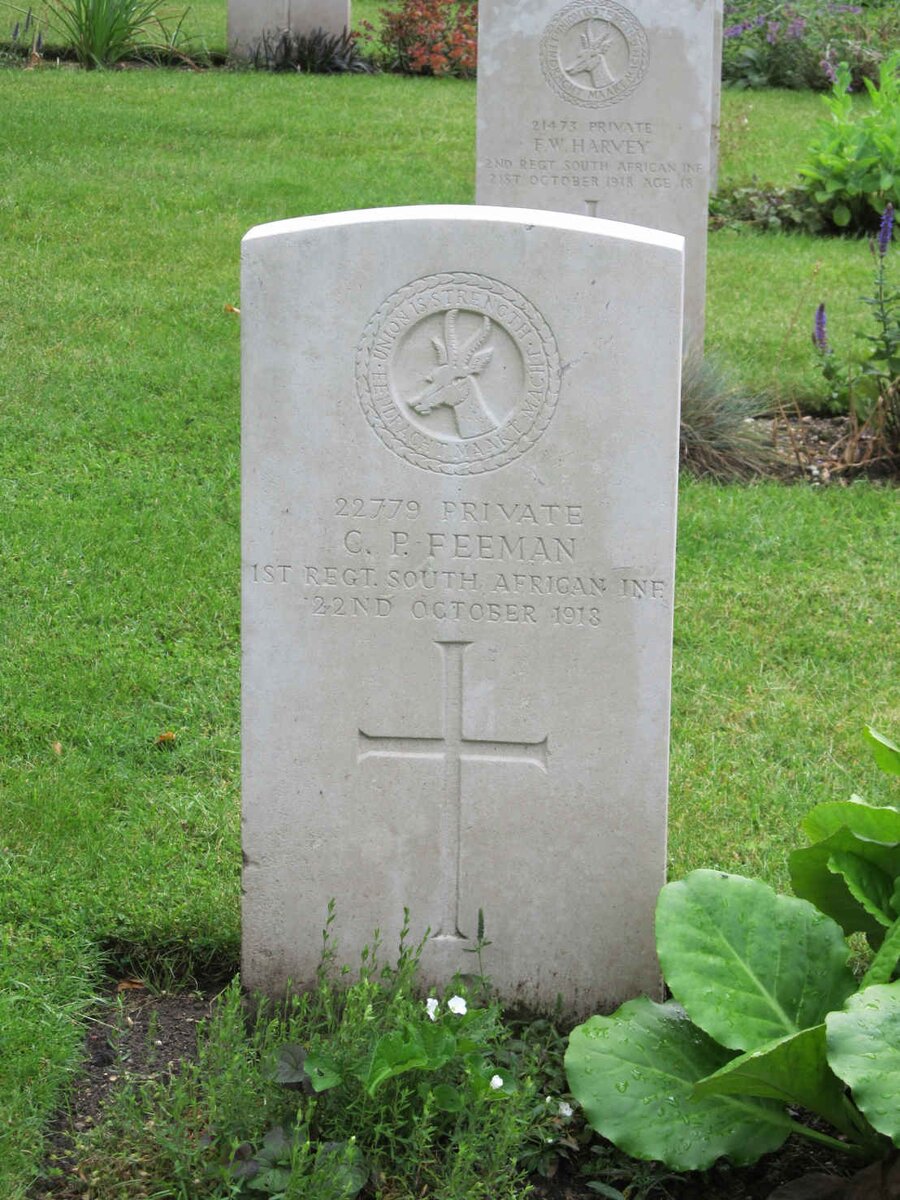 FEEMAN C.P. -1918