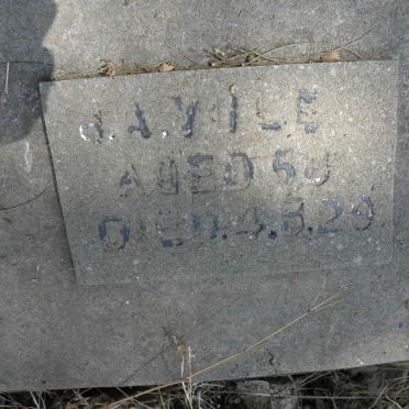 Y - Vanne :: Surnames - Y