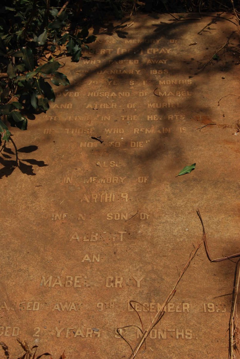 GRAY Albert -1955 :: GRAY Arthur -19??