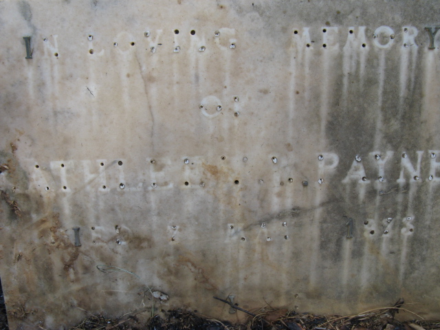 PAYNE W. Kathleen  -1973