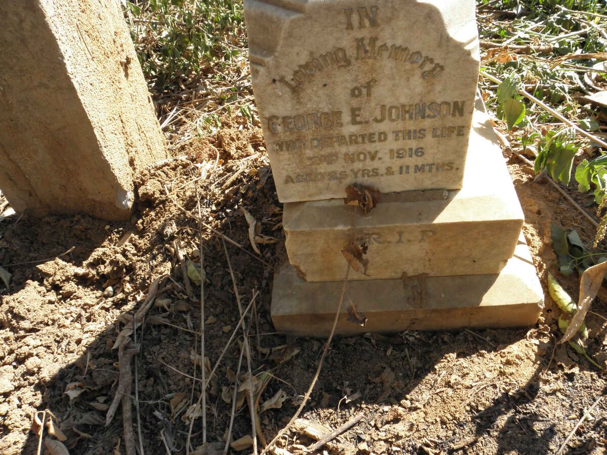 JOHNSON George E. -1916